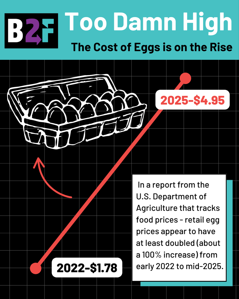 Black to the Future Action Fund tweet media