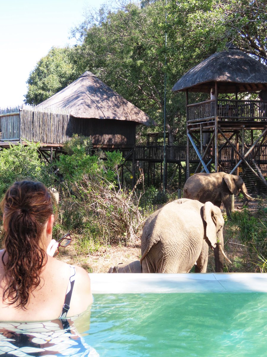 Vandaag was weer een top dag, wat een geluksgevoel, gewoon vanaf ons bedje aan het zwembad.