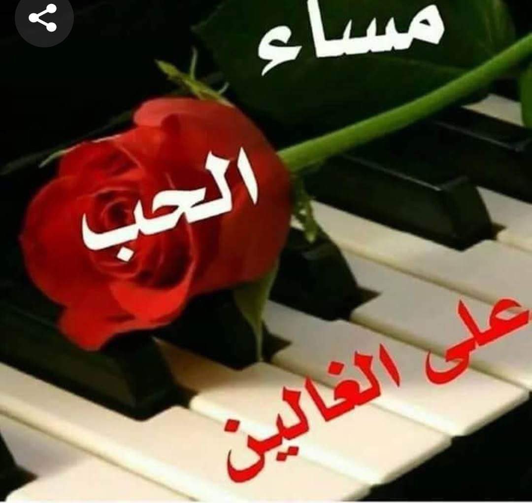 ❤️ دَلِّـلْ فُــؤَادِي

دلـل فــؤادي في هواك قليـلا 
دقـات قلبـي تعشــق التدليــلا

أَشرِق بشمسك في  معين محبتي
كم قـد ترنـم بالـوفــاء  أصـيـلا 

يامن هويتك واحتللت مشـاعري 
هلا اقتربت إلـى اليســار 🤍  قليـلا 

عند التقاء القلب في نبــضـاتــه
هل كنت تدرك ما يُقــالُ وقِيــْلا