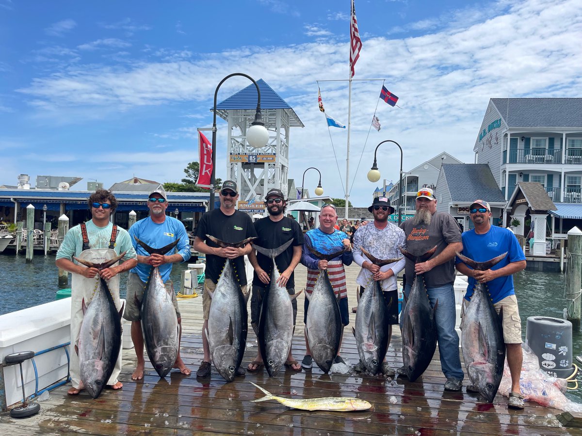 Restless_Lady's tweet photo. Tuna and Billfish bite still on/ Need 4 Thursday Aug 28/ 12 hr tuna trip $495pp - https://t.co/y2U9CmaTgc https://t.co/soiHTeW1DL