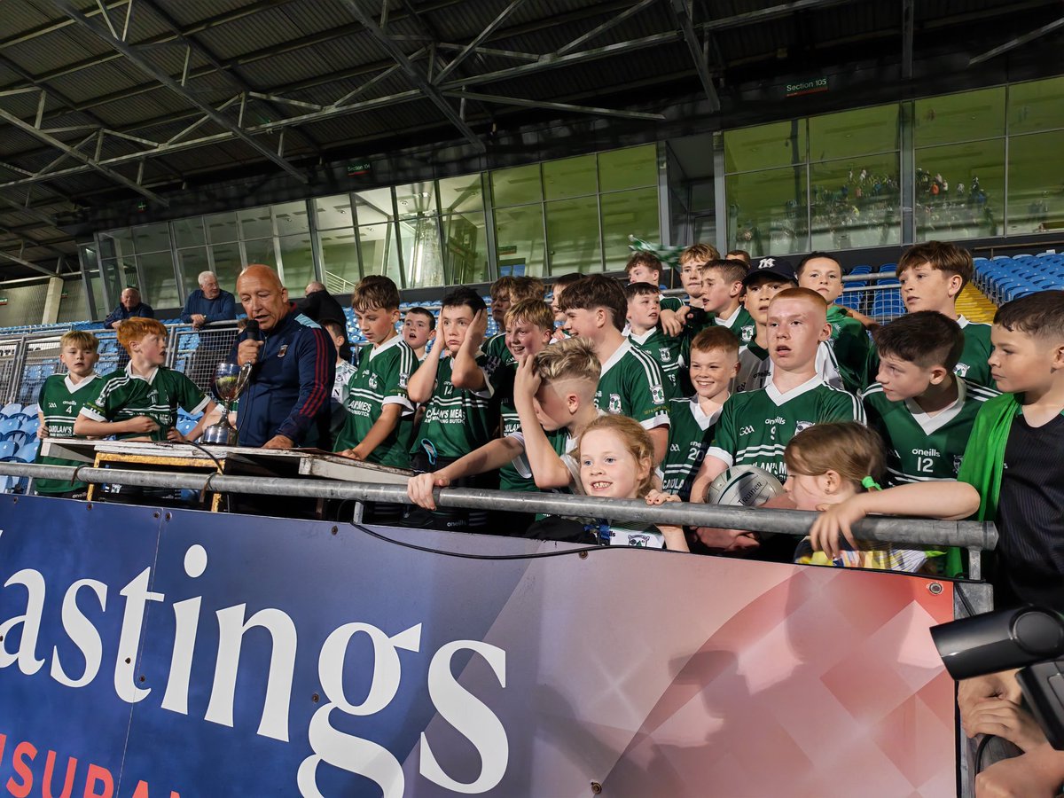 Mayo GAA tweet media