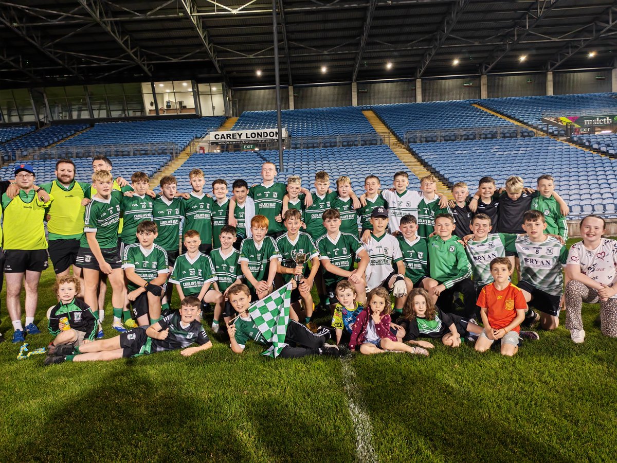 Mayo GAA tweet media