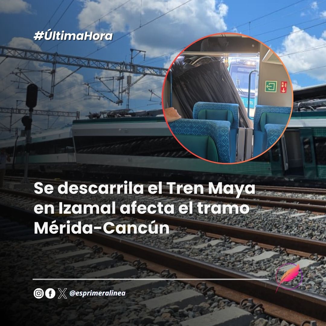 Primera Línea Mx tweet media