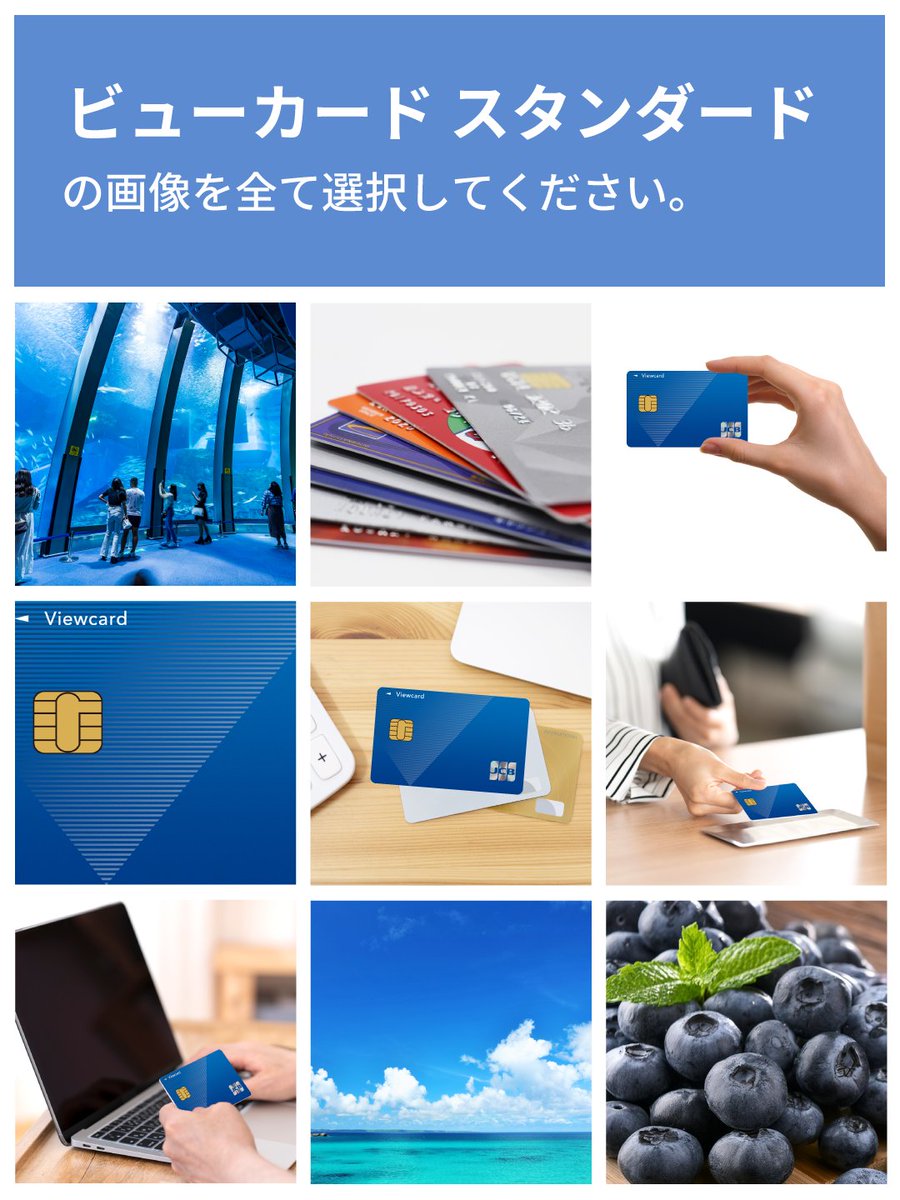 #ビューカード スタンダードの画像を全て選択してください