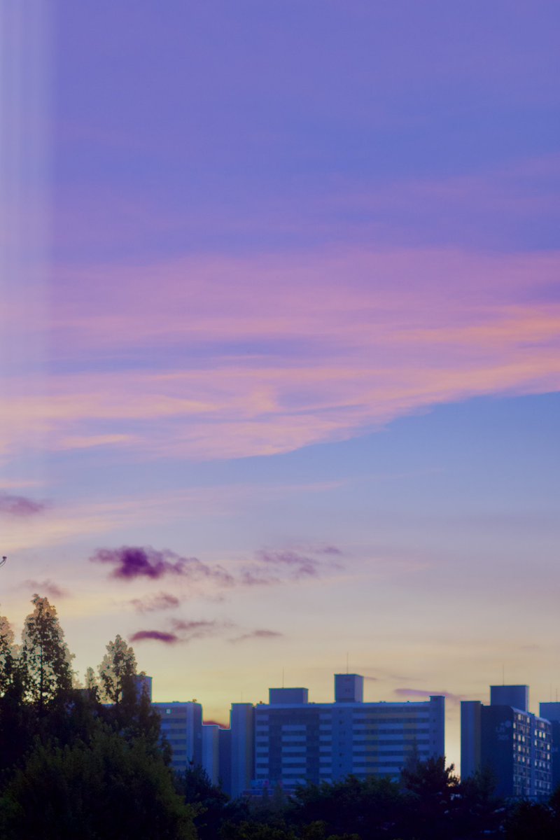 곁의생활 (@gyeot__) on Twitter photo 