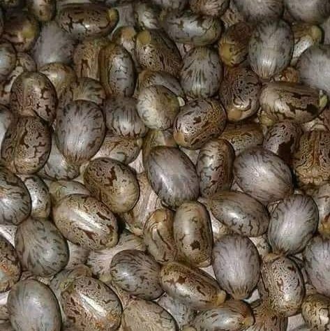 #صورة_ملف_شخصي_جديدة