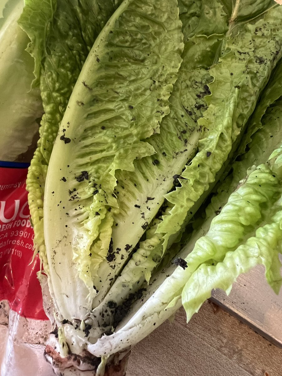 Randy Pryor tweet media