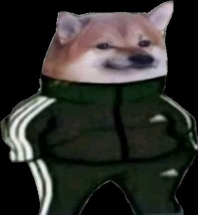 Bruski (@bruskicto) on Twitter photo 