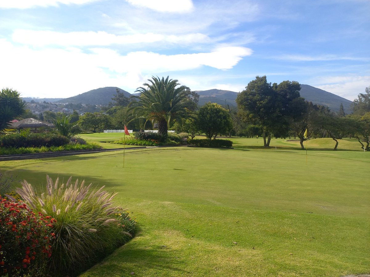Creo que quiero aprender a jugar golf.