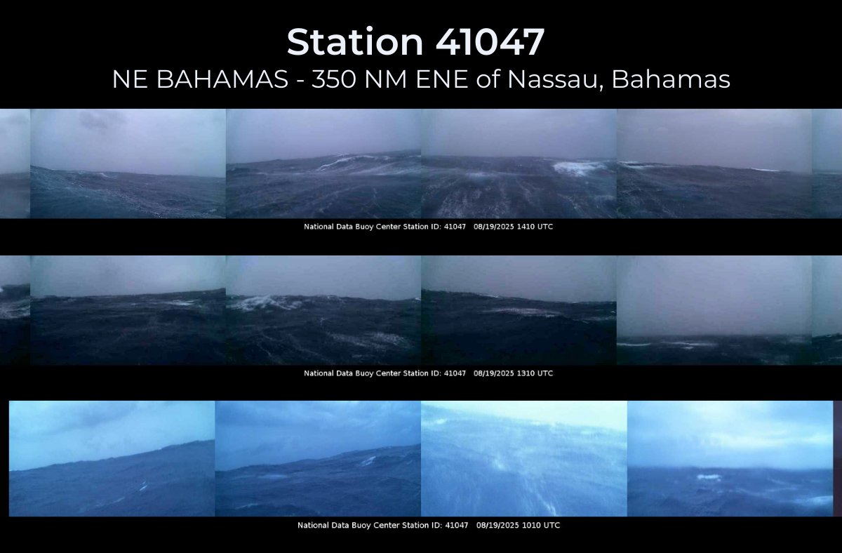 databuoycenter's tweet photo. Station 41047, about 130 miles from the eye of #HurricaneErin, captured some stunning imagery today. Currently experiencing wind gusts over 60 mph &amp; wave heights over 30 feet, this brave weather buoy is giving us an incredible seal-level view of the enormous power of this storm. https://t.co/w6X9lmTaoq