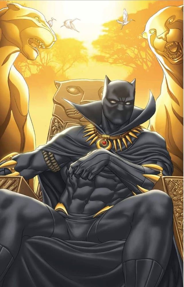 DoodlesAnimPlus's tweet photo. People don’t talk about it enough but Black Panther with a cape goes unbelievably hard https://t.co/Itjr8wCPGL