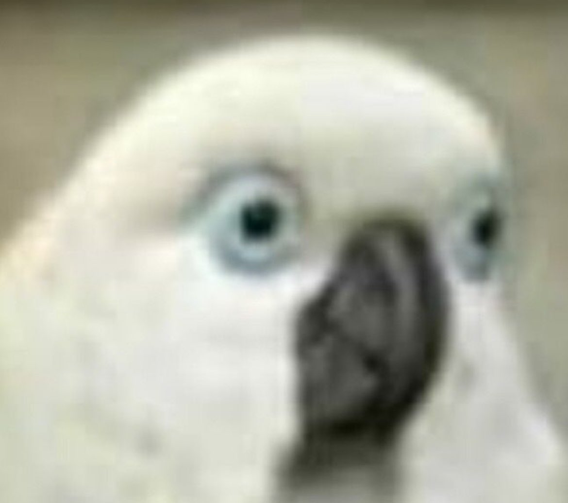 Лучше бы я не видела некоторых комментов под рилсами во вкладке друзья. Как хорошо что я комменчу только видосики с собаками и пишу им что они гуд бои