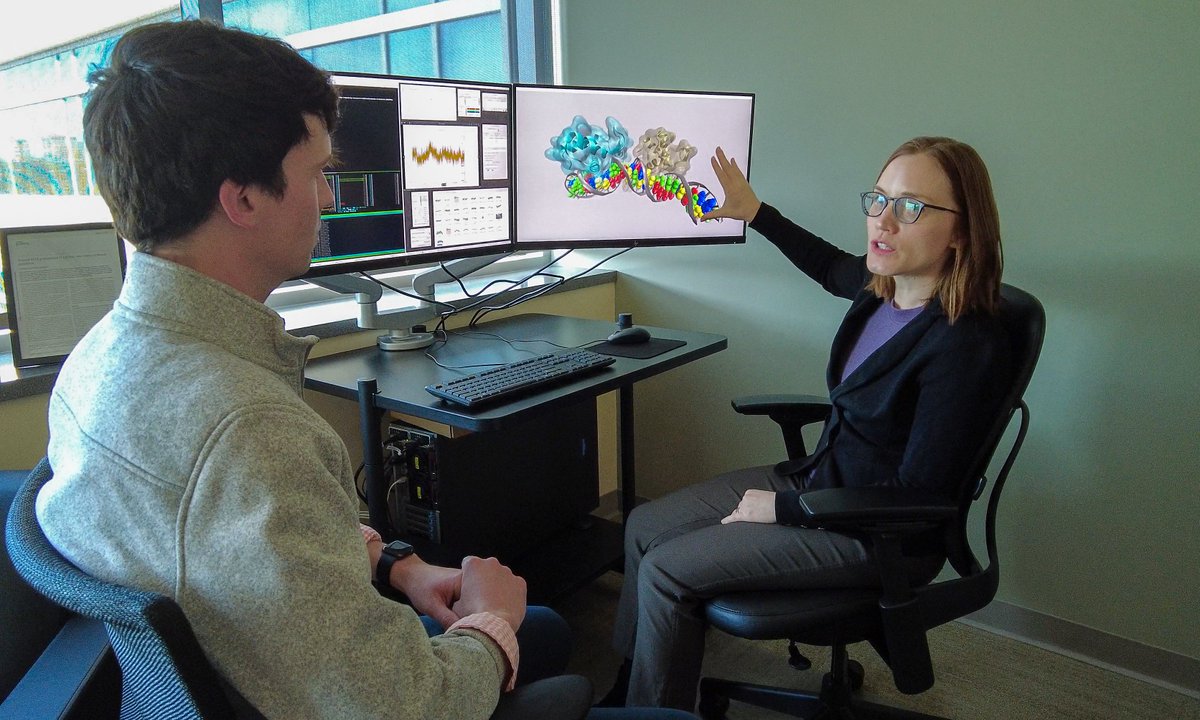 Stowers Institute (@sciencestowers) on Twitter photo Only ~2% of our DNA codes for proteins. What about the rest?
#AI tools are helping scientists, including Investigator <a href="/JuliaZeitlinger/">Julia Zeitlinger (@jzeitlinger@genomic.social)</a>, decipher how non-coding #DNA shapes health and disease. 🧬 
📖 Read more <a href="/Nature/">nature</a>: go.nature.com/4mLGGEl Only ~2% of our DNA codes for proteins. What about the rest?
#AI tools are helping scientists, including Investigator <a href="/JuliaZeitlinger/">Julia Zeitlinger (@jzeitlinger@genomic.social)</a>, decipher how non-coding #DNA shapes health and disease. 🧬 
📖 Read more <a href="/Nature/">nature</a>: go.nature.com/4mLGGEl
