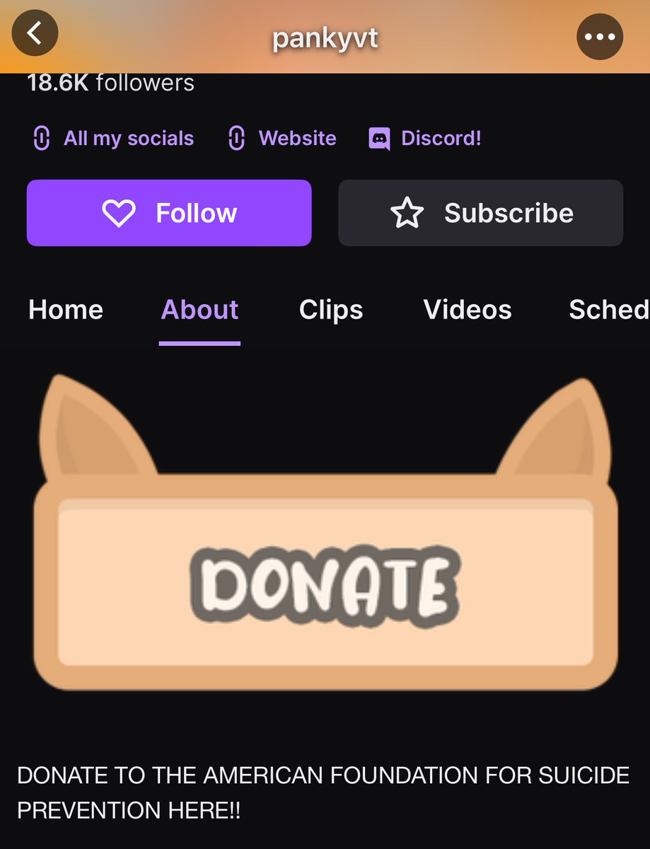 TheCrowMonarch's tweet photo. @HopperHaseVT The funny part is the hypocrisy!!!

Imagine telling your chat to donate for a better cause while also going against that exact same cause. https://t.co/SqQ9ZrRmck
