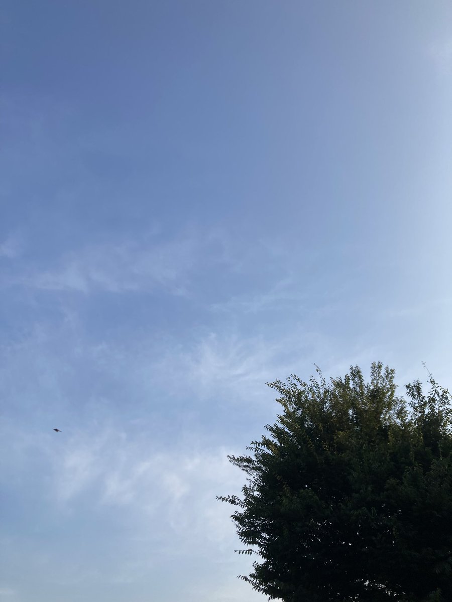 今日も公園でブラブラしてまら、めっちゃ酔って吐きそう🤮