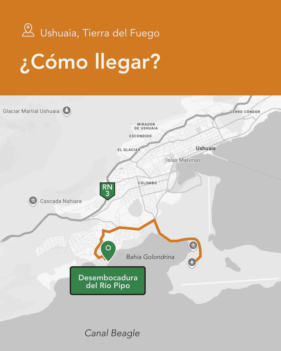 eBird Argentina tweet media