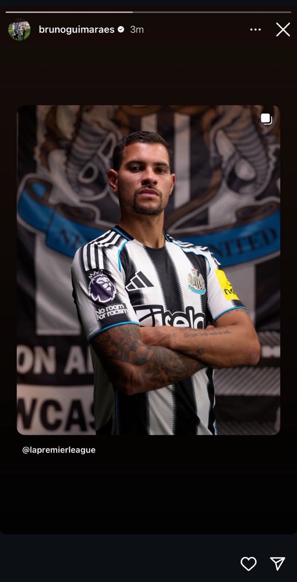 The Tesla SpotLight tweet media