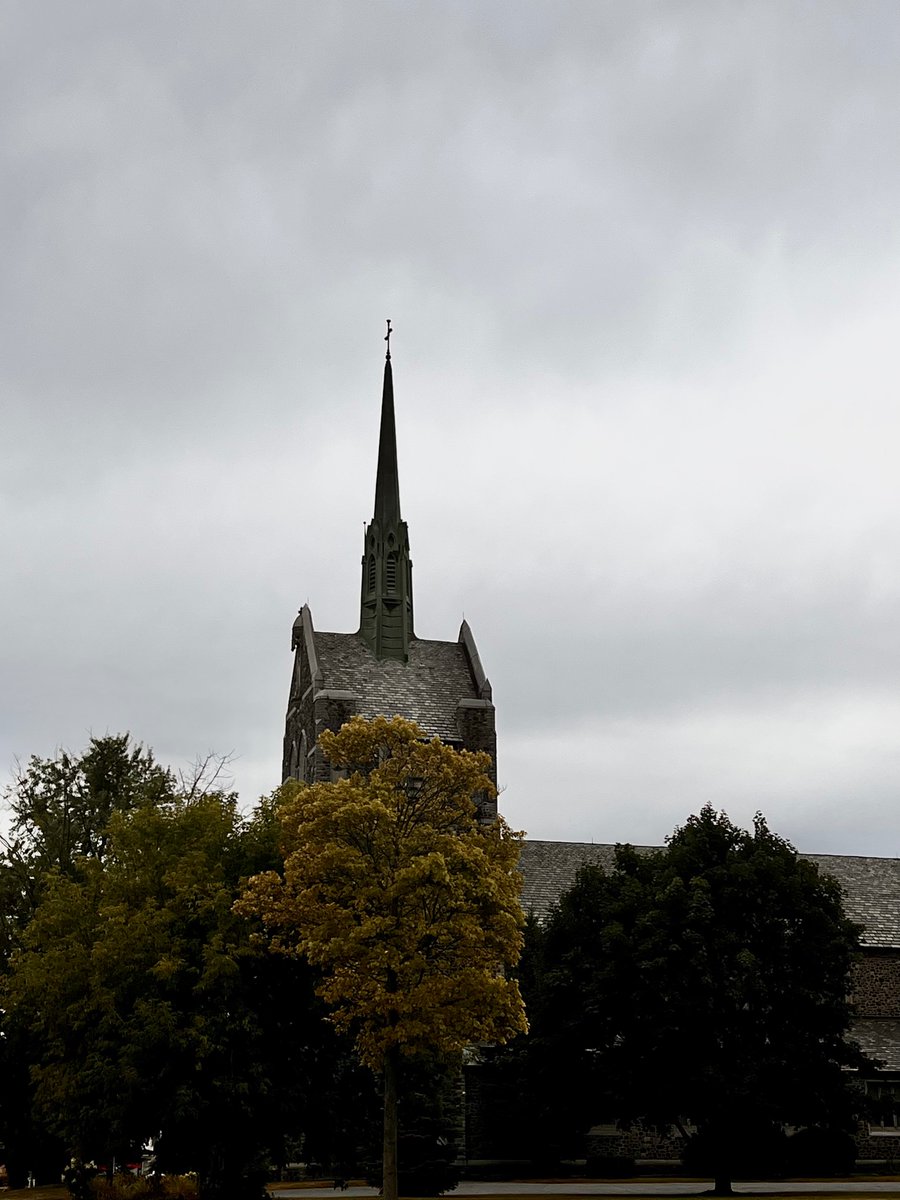 PullTheShade3's tweet image. Let’s get to the point of it all… as it comes down to the wire
#JesusisKingofKings 
#CodeblueBeacon 
#Championdignity 
#PointtoJesus