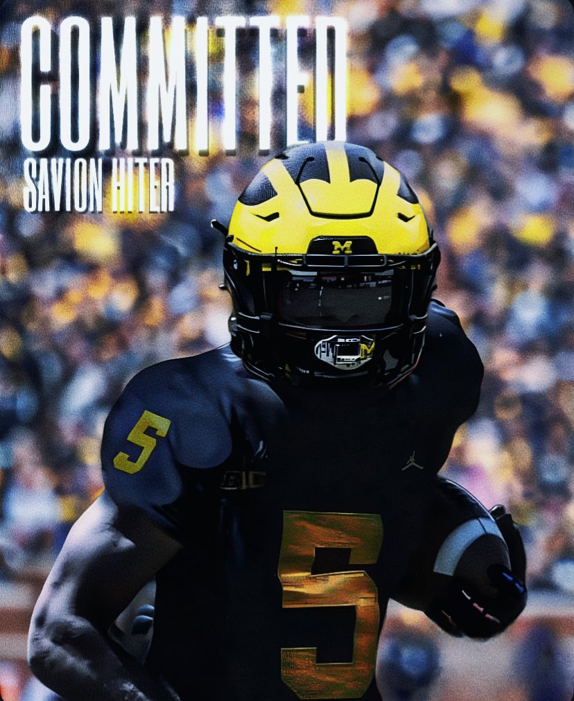 Wolverine Designs tweet media