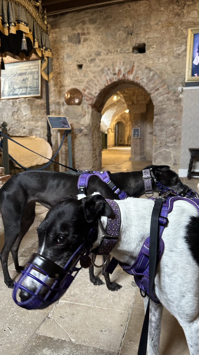 Fire’s Brigade tweet media