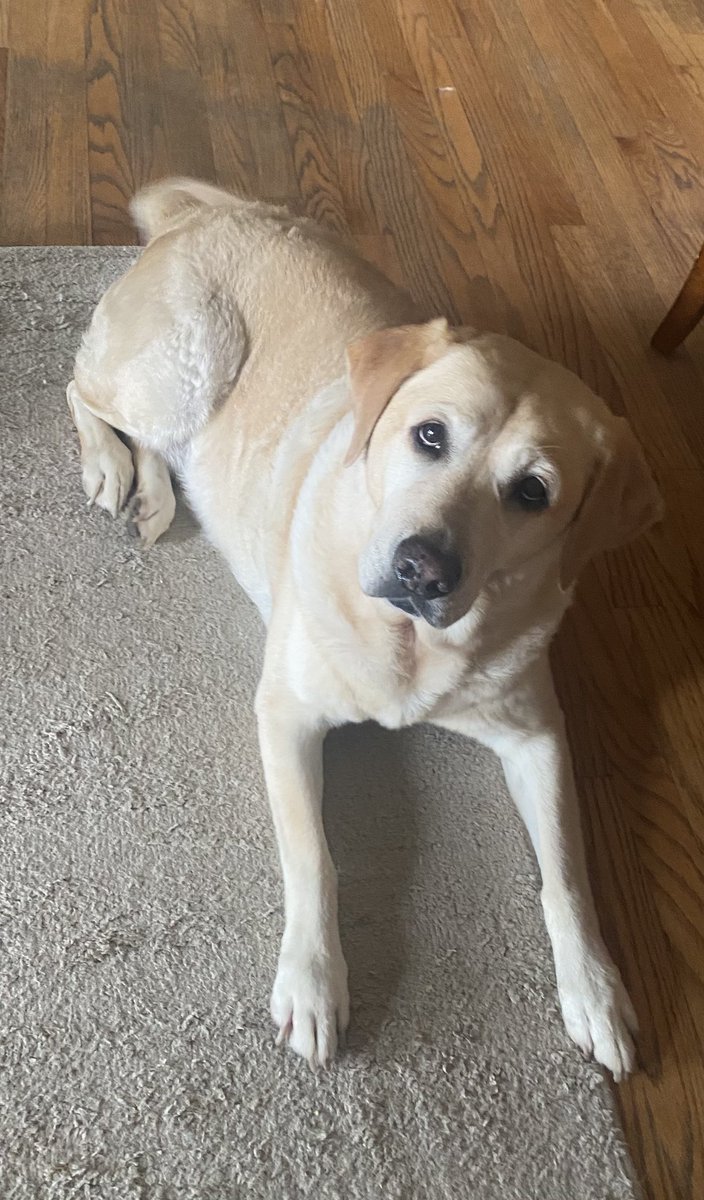 Attempting to leave the house for dinner