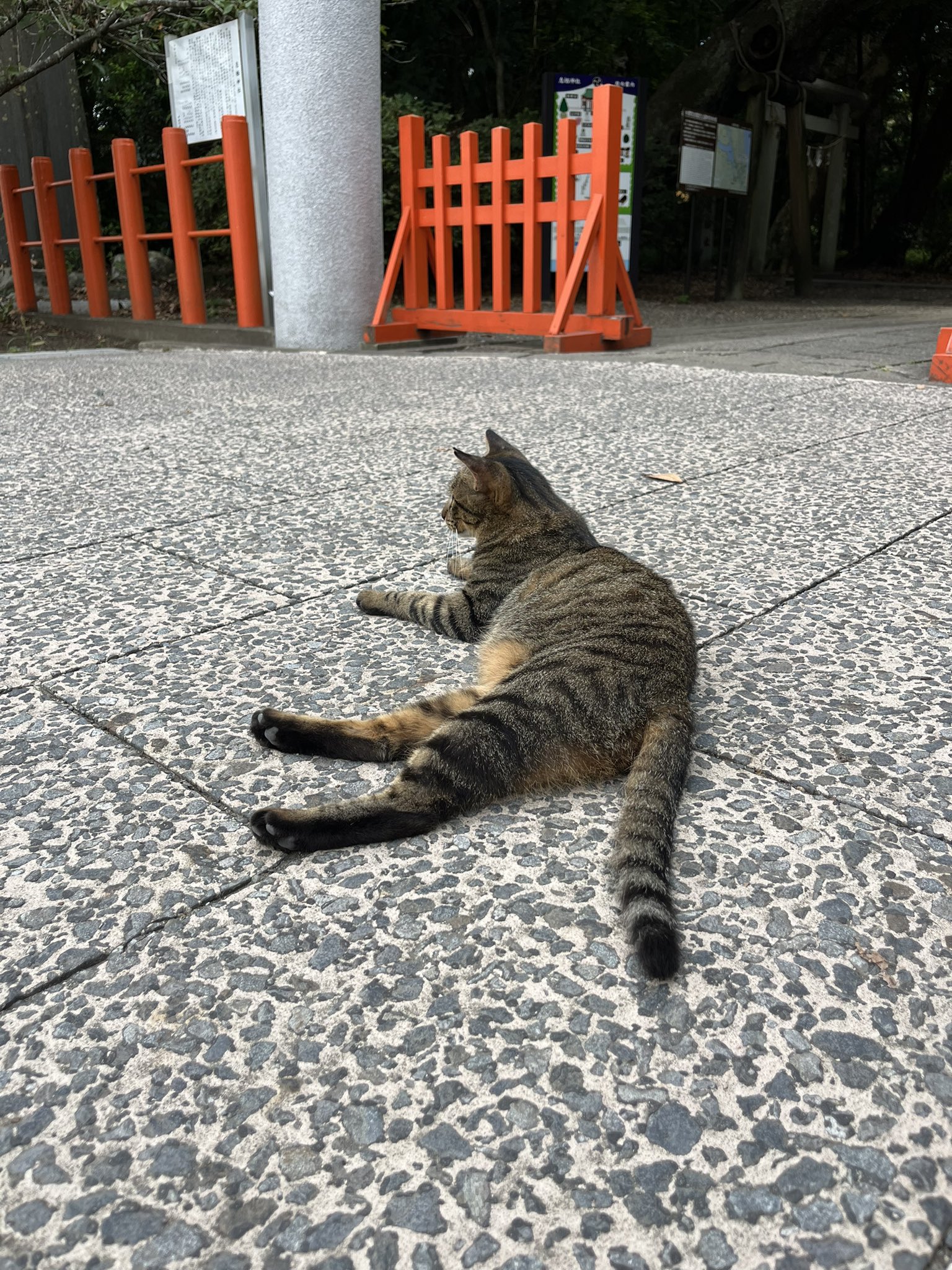 神猫 土と油 JQ3KXM on X: 