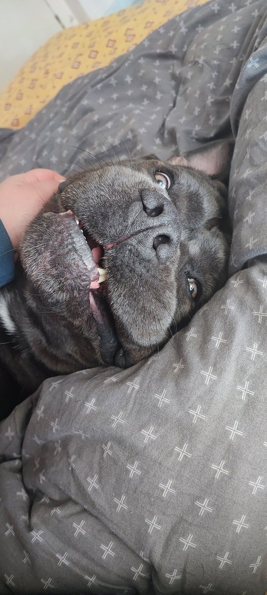 #παγκοσμια_ημερα_φωτογραφίας
Βρείτε εσείς καλύτερη...