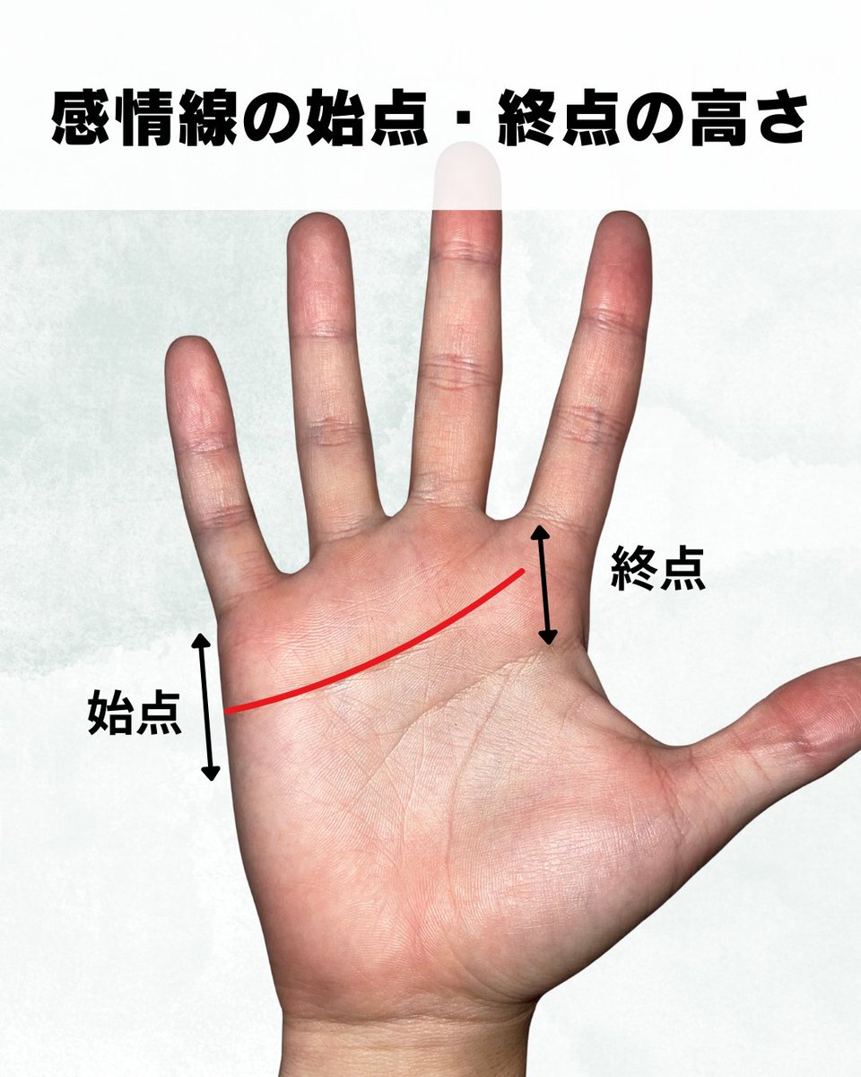 専用のページになります。手相鑑定 ✋️手相対面鑑定 問い合わせ用ページ - メルカリ