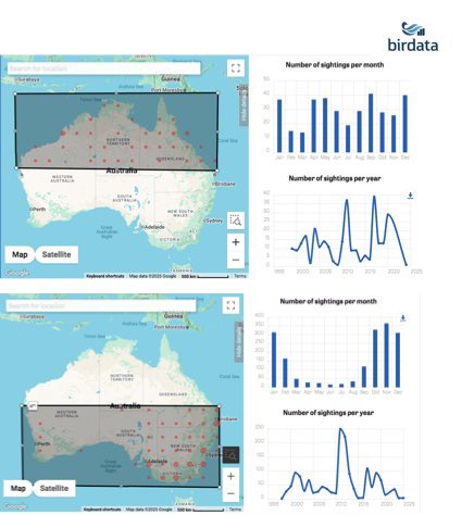 Happy 20th Birthday to <a href="/BirdlifeOz/">BirdLife Australia</a>’s Birdata! Here’s an example of how useful it is, showing the peak season for Australian Painted-snipe in southern Australia (Oct-Jan) compared to the north, as well as the peak years like 2010-2012 after the millennium drought broke.