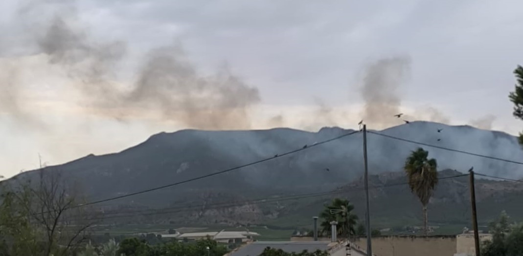 Un total de 9 hectáreas han ardido en el incendio de la Sierra del Almorchón en #cieza ciezaenlared.com/Principal/2025…