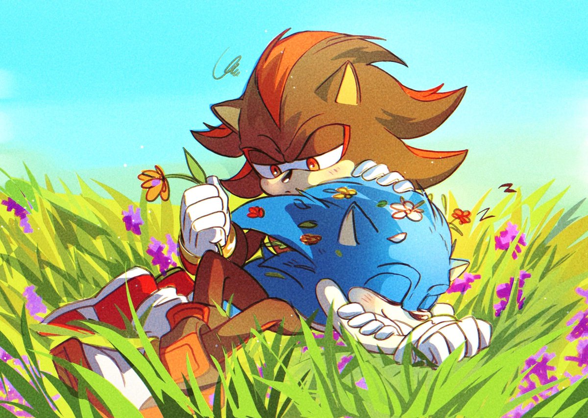 🌼
#sonadow