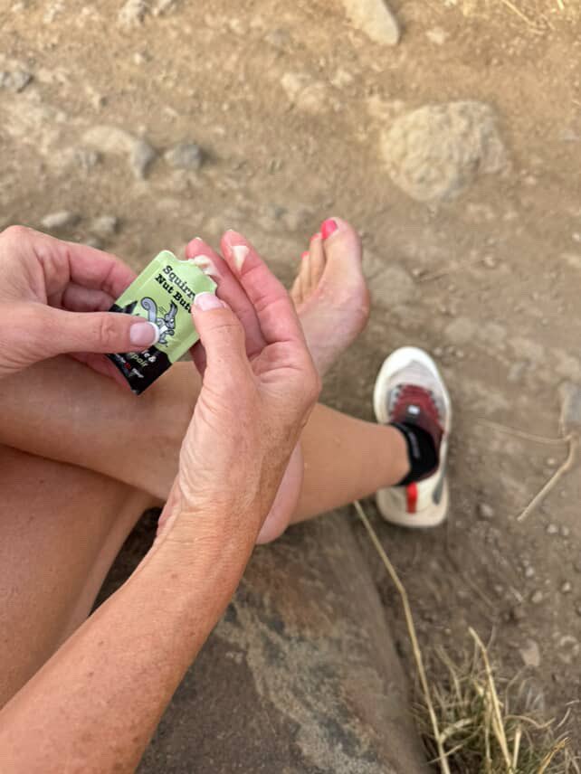 Squirrel's Nut Butter 🐿 tweet media