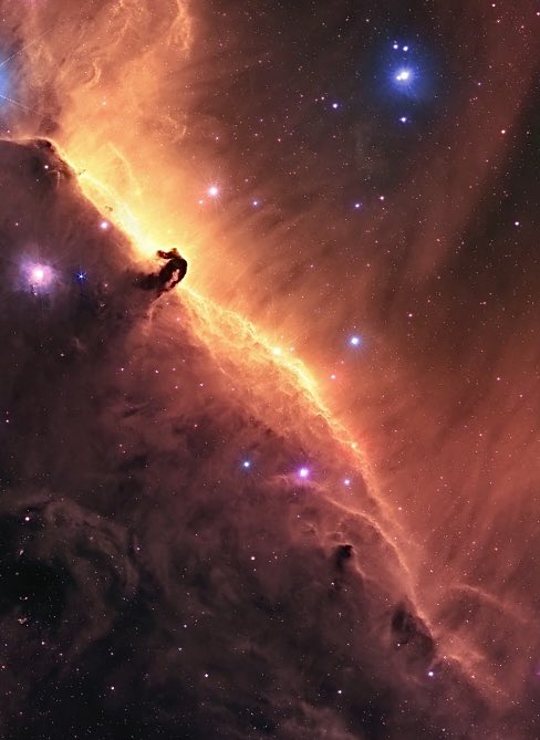 Ian and I took a photo of the horsehead nebula 🥰 turned out so pretty. 👀 at those ripples ooooooof
<a href="/ianlauerastro/">Ian Lauer Astro</a>