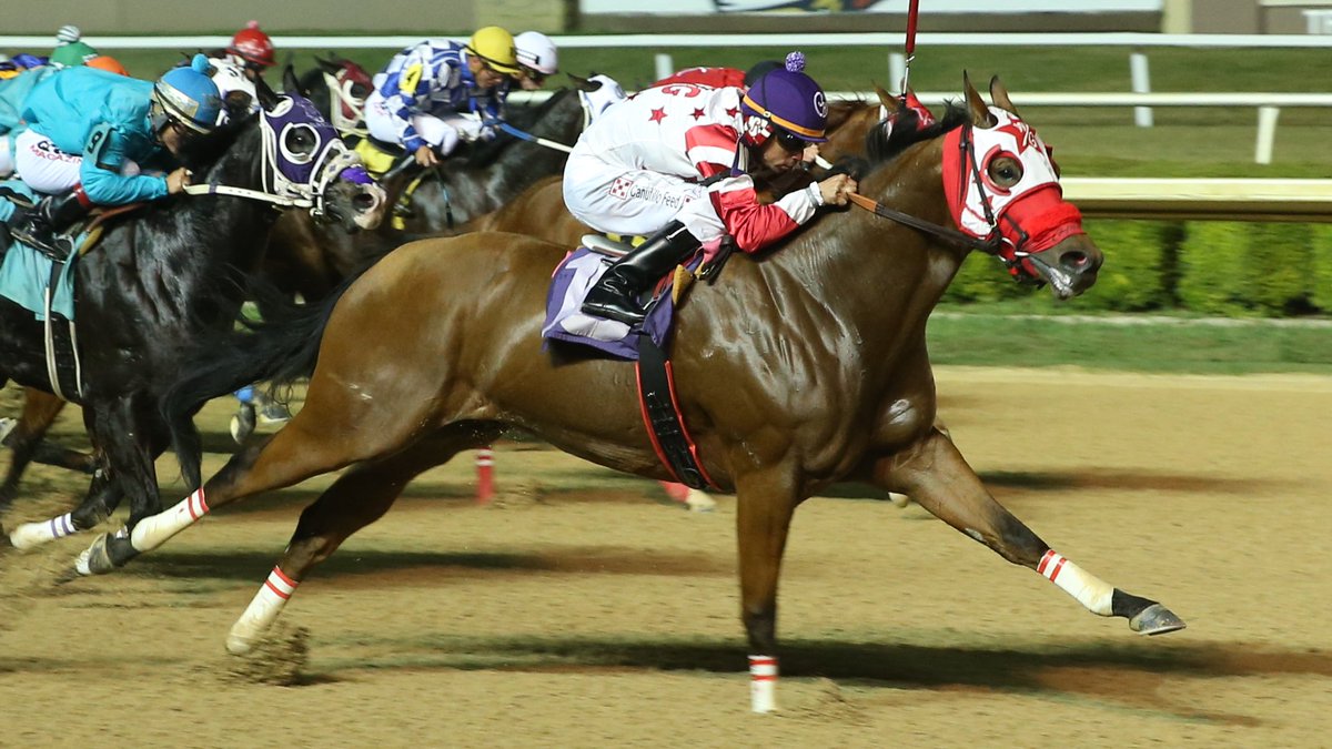 Lone Star Park (@lonestarpark) on Twitter photo The 2025 Fall Meeting of Champions for American Quarter Horses gets started on Friday, September 5.
The horses are ready, are you?
🎟️lonestarpark.com/tickets The 2025 Fall Meeting of Champions for American Quarter Horses gets started on Friday, September 5.
The horses are ready, are you?
🎟️lonestarpark.com/tickets