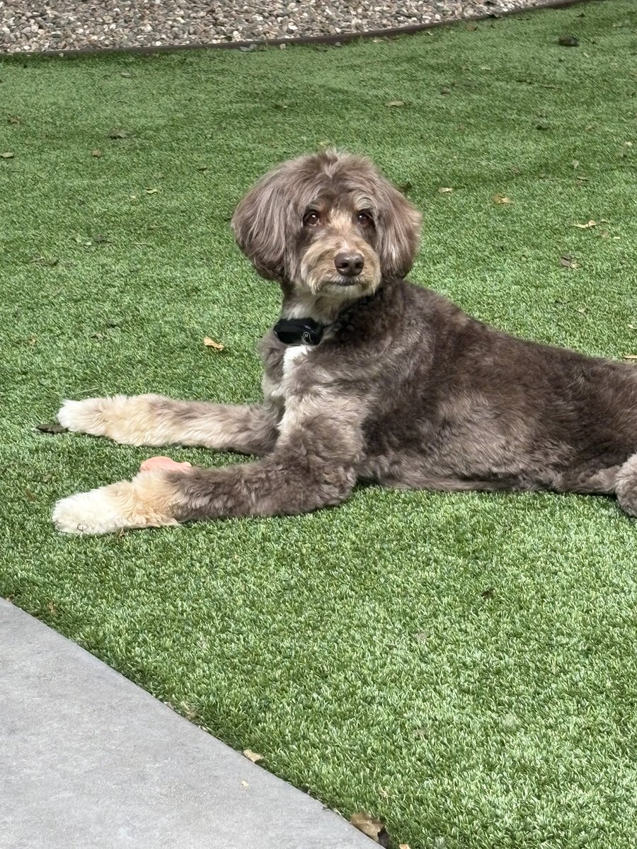 Michelle tweet media