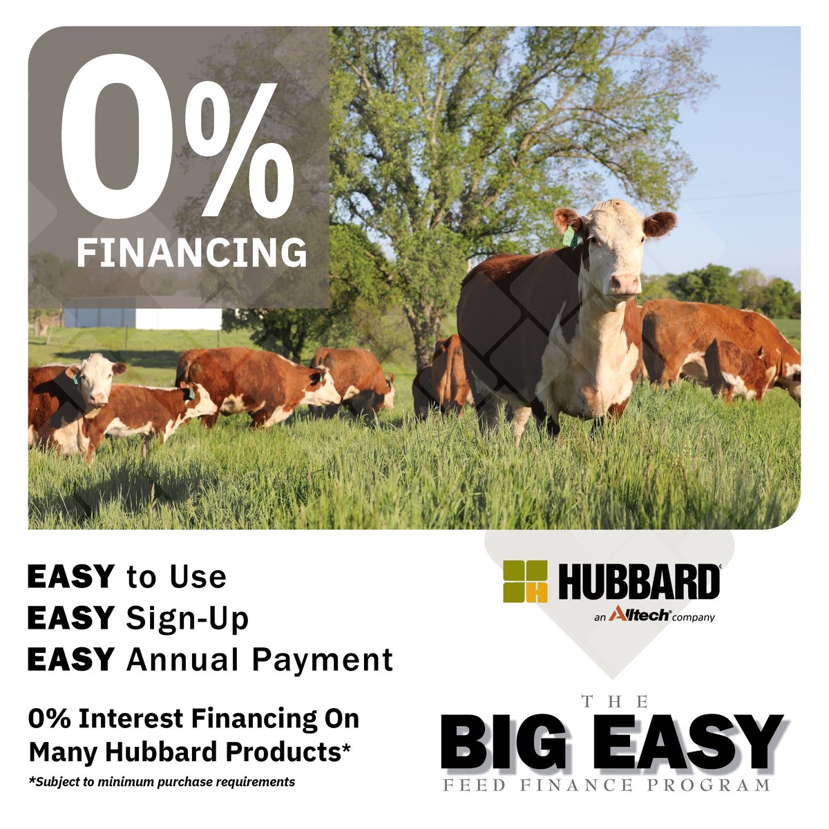 💰 Feeding your herd just got easier — and more affordable!

With The Big Easy Feed Finance Program, you can get 0% interest on qualifying Hubbard products and stretch your feed dollars further.

✔️Simple sign-up
✔️One easy annual payment
✔️No interest

🔢bit.ly/hfBigEasyCalcu…