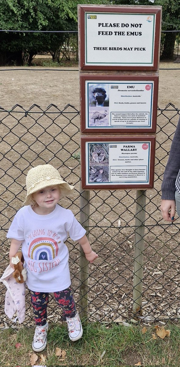 Today was enjoyable  and I spent most of it at Cotswold Wildlife Park with the family. Back home 15 mins after ko  to see the Os grind out a victory. While there encountered a giant tortoise called Plymouth, and you can see they got fu**ked. G/daughter was wearing her new Tshirt