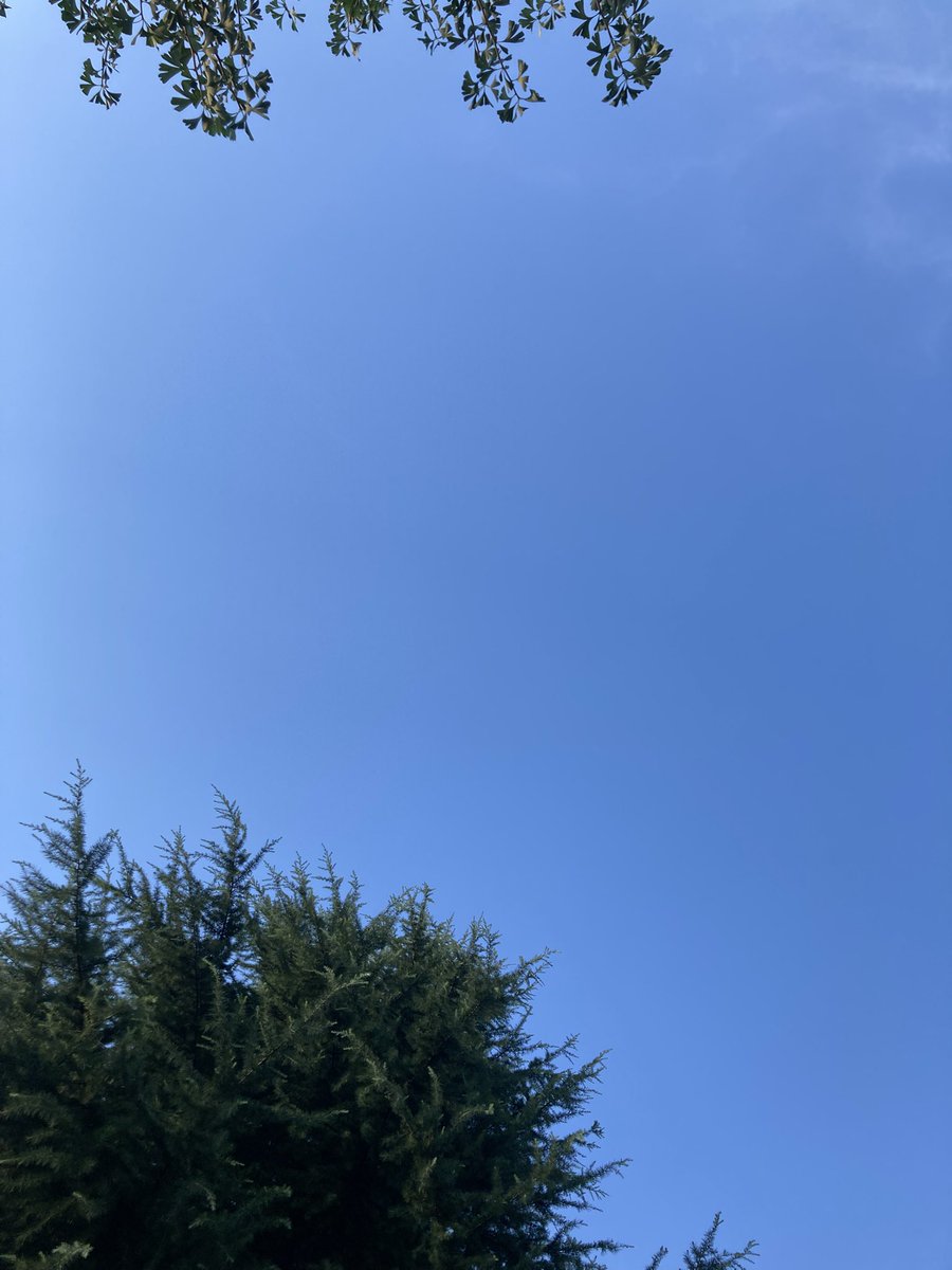 やっぱ空を見てるとこれが見える