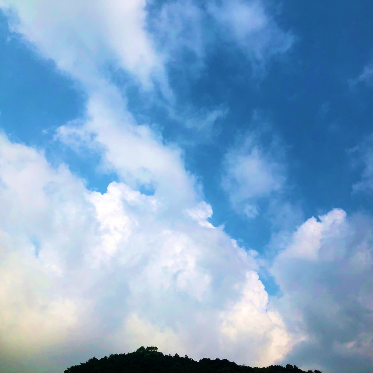 おはようございます！
8月20日水曜日ですね。

吸い込まれるような空に、忘れ物をしたような午後。夏の残り香。

今日もよい一日になりますように🍀
#カコソラ 
#キリトリセカイ 
#夏の空