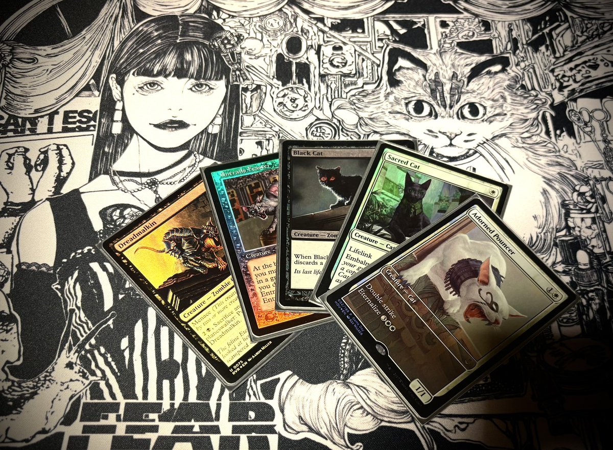 おはふぃあ～💀💀

水曜日すいすい、
スケイズ・ゾンビ🧟‍♀️

みんなもやろう！zEDH！

こんな可愛い子たちもゾンビ
🐱ྀི🐱ྀི🐱ྀི

今日ものろのろ、
暗黒は我が手に～🧟‍♀️🧟‍♀️🧟‍♀️

 #1日1畏怖
#私の統率者と相棒