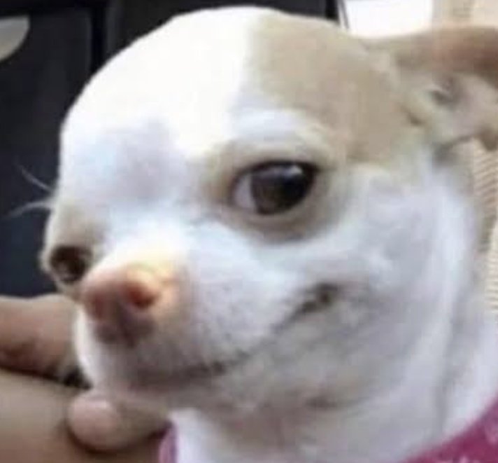 Now they farming engagements with name of monad card nominations lol