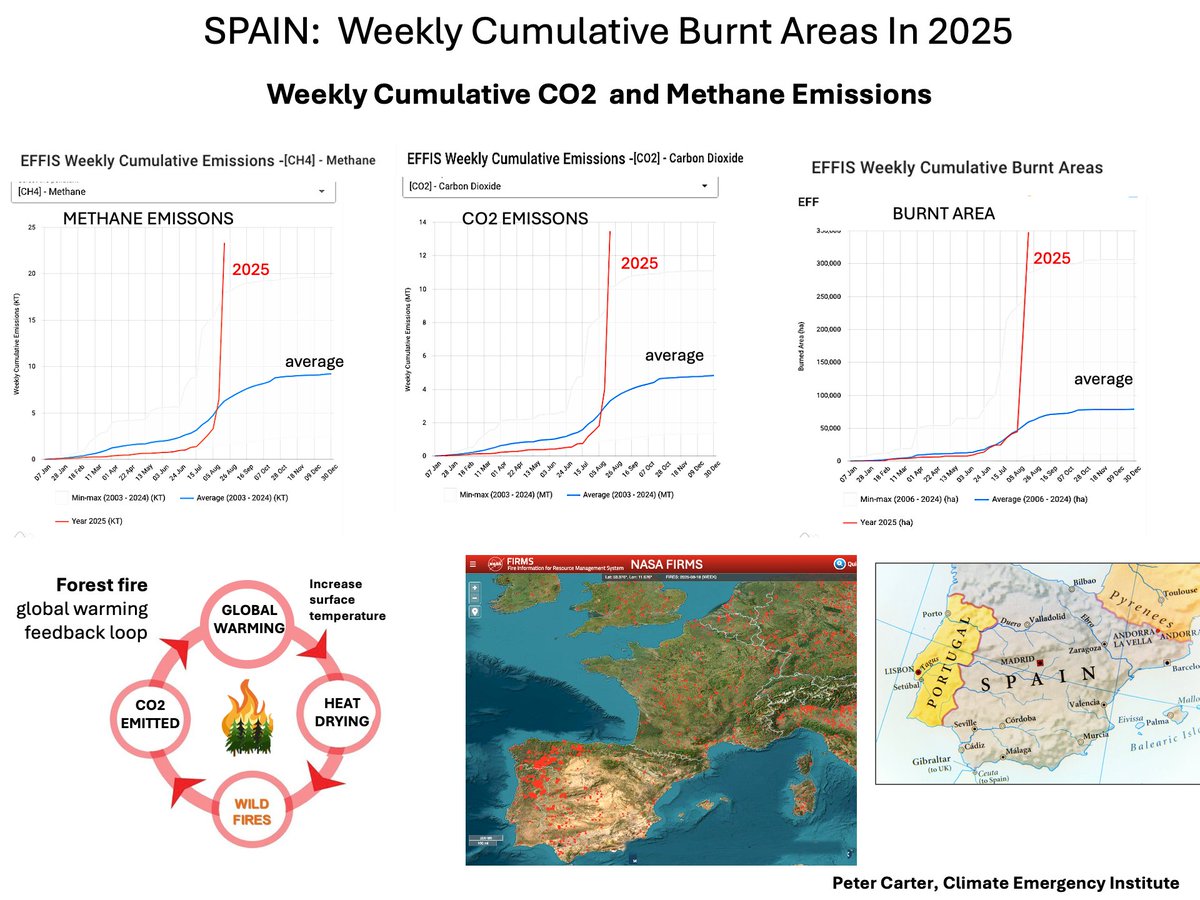 PCarterClimate's tweet photo. SPAIN WILDFIRE BURN -->  CO2 & METHANE EMISSIONS
Huge abrupt increase in Spain burnt area Same for fire CO2 and methane emissions. Forest fires are being increased by global surface warming, and emit more CO2 and  methane- global warming feedback.
https://t.co/FcelG2YNq6
#wildfire #climatechange #globalwarm