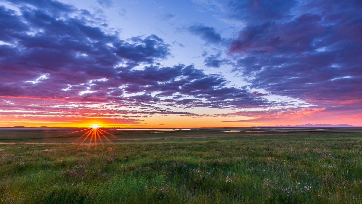 TimesWilderness's tweet photo. "Central Montana Sunrise"

- @MontanaImgs https://t.co/9264hxvHak