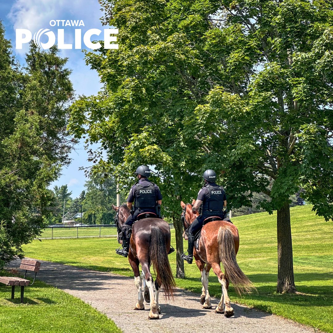 OttawaPolice's tweet image. Our Mounted Unit plays an important role in community safety—and when horses are on patrol, a little mess can sometimes be left behind. 💩 

Horse manure is non-toxic and environmentally safe, but we understand it’s not ideal in public spaces. 

Our officers return after every…