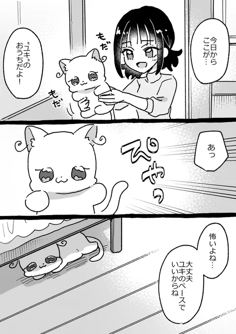 こねこのユキちゃん 