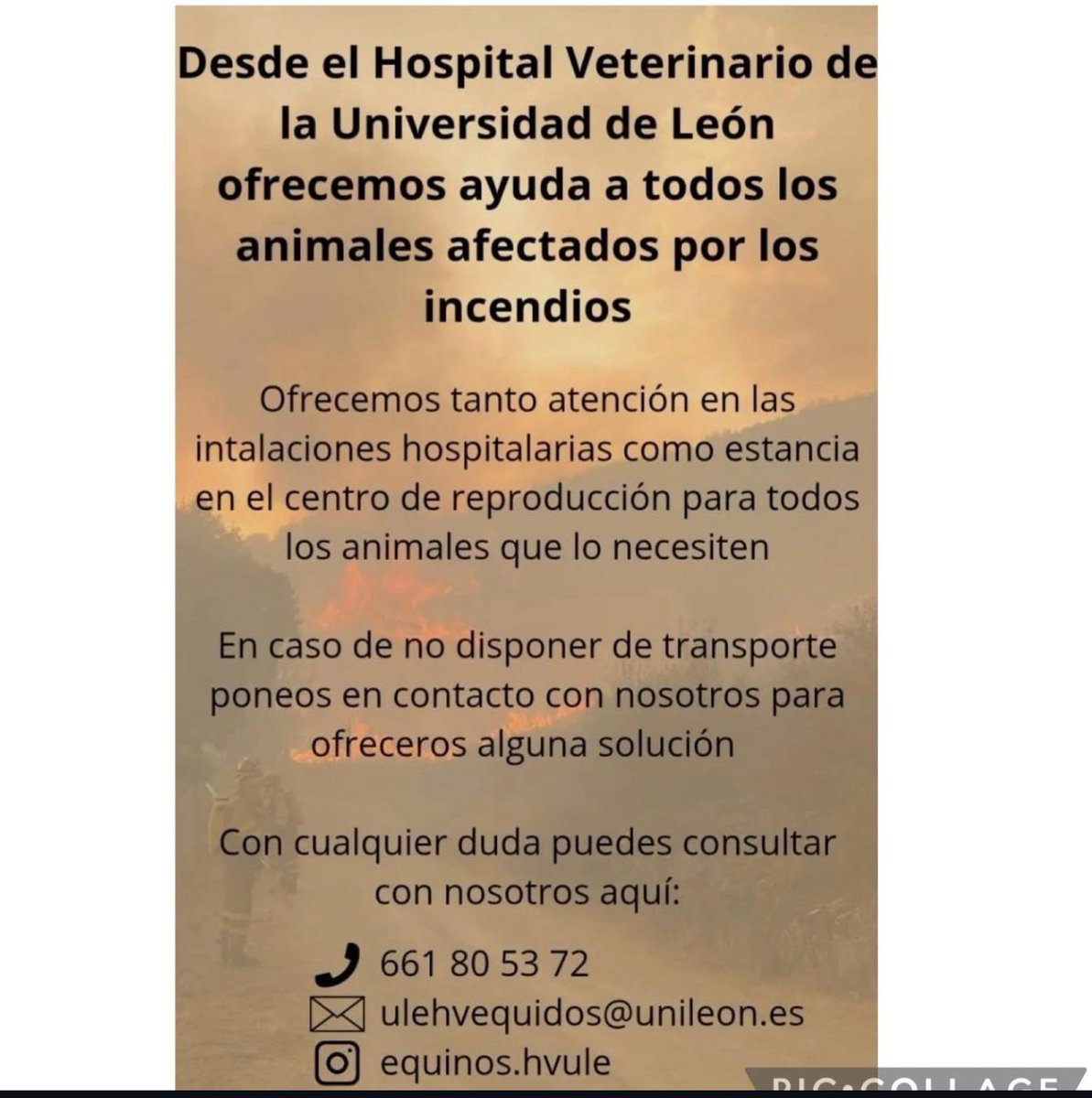 Alerta Solidaria ‼️ 

🏥🐾 El Hospital Veterinario de la <a href="/unileon/">Universidad de León</a> ofrece ayuda a todos los animales afectados por los incendios 🐾 

#IncendiosForestalesEspaña #IIFF #Leon #animales #ayudaveterinaria
