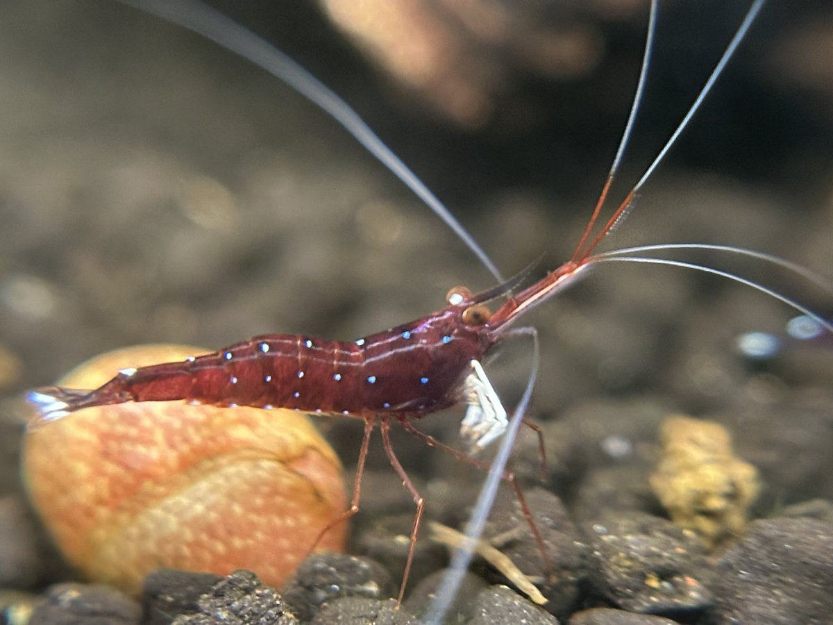 Dr. Joel tweet media