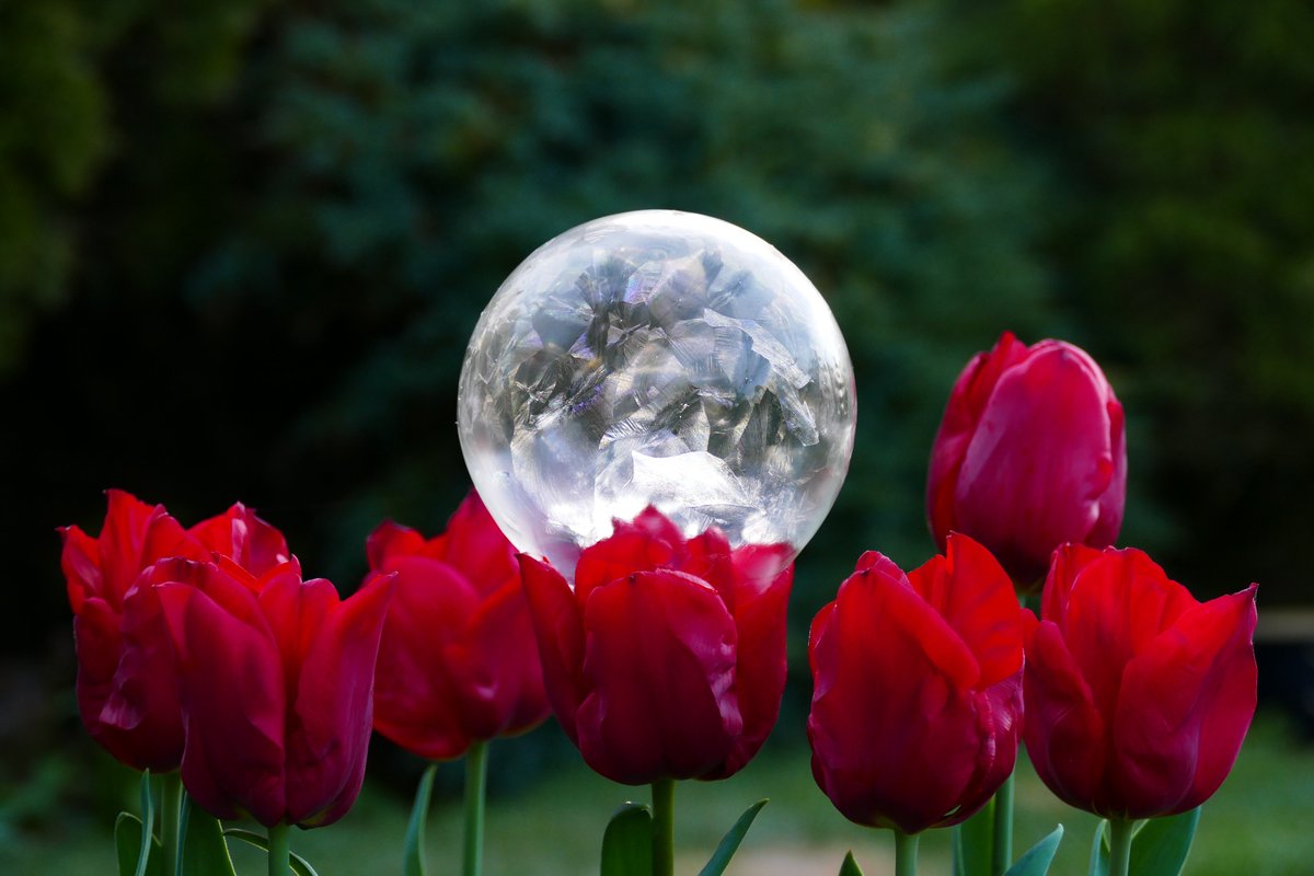 James_Akrill's tweet image. Favourite images I've taken so far in 2025. #WorldPhotographyDay #WorldPhotographyDay2025