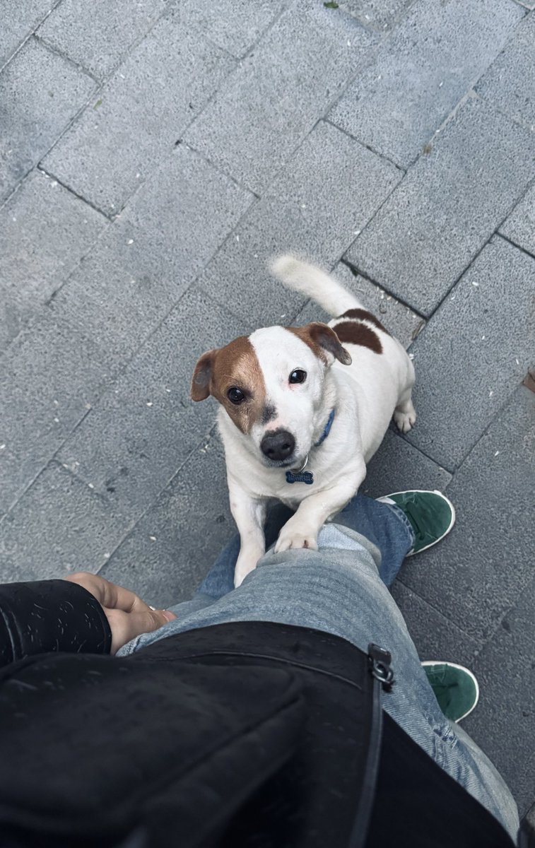 Samhimself tweet media