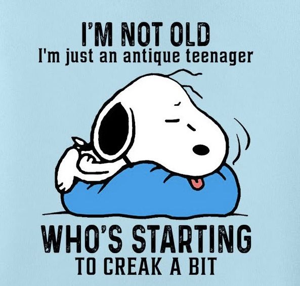 snoopy (@snoopyfans86057) on Twitter photo 